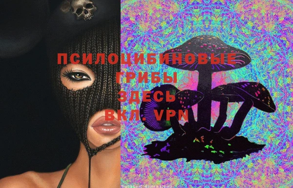 винт Армянск