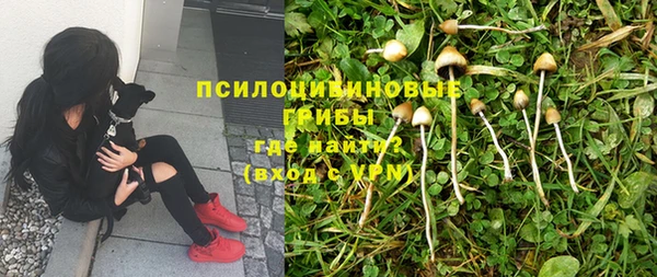 винт Армянск