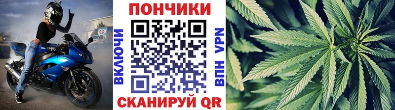 Купить где  Аткарск  Шишки марихуана OG Kush 